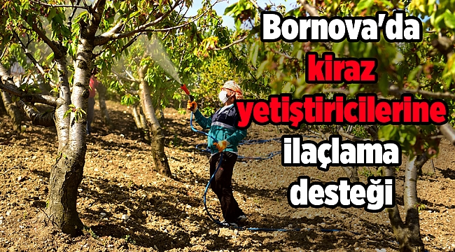 Bornova'da kiraz yetiştiricilerine ilaçlama desteği