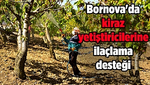 Bornova'da kiraz yetiştiricilerine ilaçlama desteği