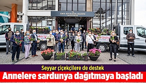 Büyükşehir annelere sardunya dağıtmaya başladı