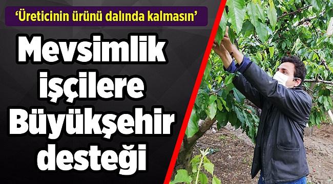 Mevsimlik işçilere Büyükşehir desteği