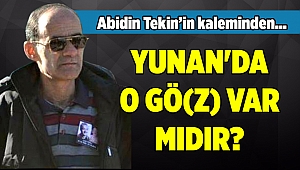 Abidin Tekin'in kaleminden...