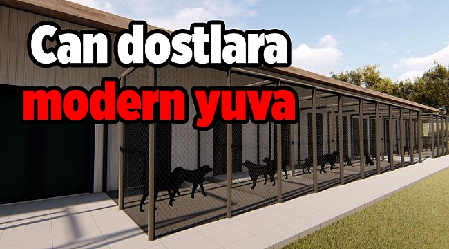 Can dostlara modern yuva