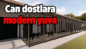 Can dostlara modern yuva