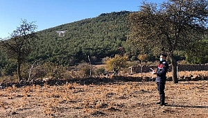 Ailesiyle yazlığına gelen tıp öğrencisi kayboldu