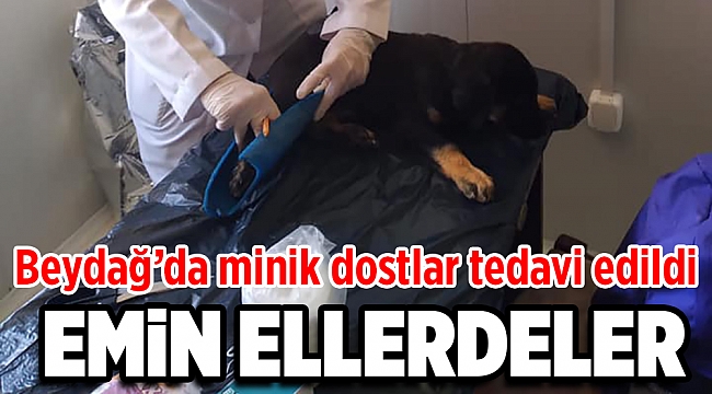 Beydağ’da Sevimli Dostlar Emin Ellerde