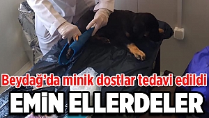 Beydağ’da Sevimli Dostlar Emin Ellerde