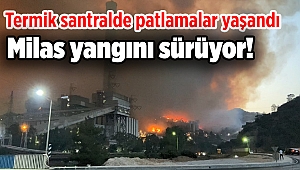 Milas yangını sürüyor! Termik santralde patlamalar yaşandı