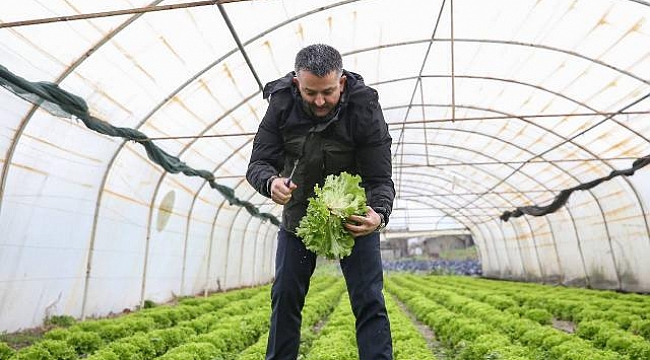 Bakan Pakdemirli kıvırcık hasadı yaptı