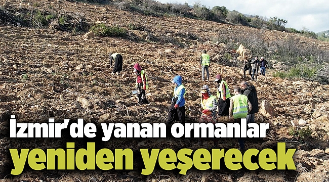 İzmir'de yanan ormanlar yeniden yeşerecek