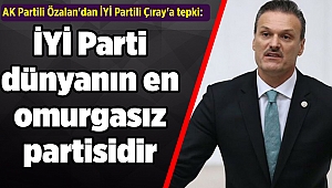 AK Partili Özalan'dan İYİ Partili Çıray'a tepki: İYİ Parti dünyanın en omurgasız partisidir