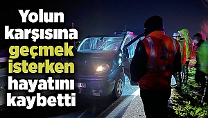 Yolun karşısına geçmek isterken hayatını kaybetti