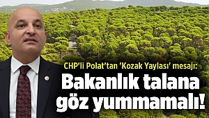 CHP'li Polat'tan 'Kozak Yaylası' mesajı: Bakanlık talana göz yummamalı!
