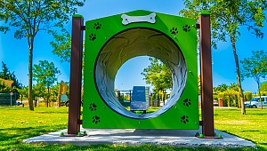 Çeşme’de köpekler için 3 Pati Park daha hizmete girdi!