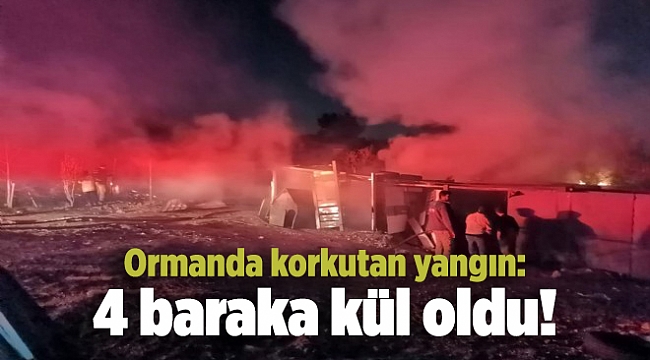 Ormanda korkutan yangın: 4 baraka kül oldu!