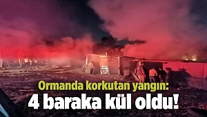 Ormanda korkutan yangın: 4 baraka kül oldu!