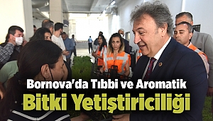 Bornova'da Tıbbi ve Aromatik Bitki Yetiştiriciliği