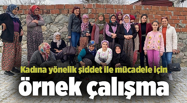 Kadına yönelik şiddet ile mücadele için örnek çalışma