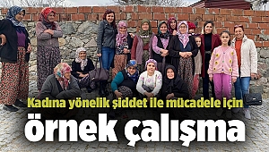 Kadına yönelik şiddet ile mücadele için örnek çalışma