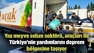 Yaş meyve sebze sektörü, araçları ile Türkiye'nin yardımlarını deprem bölgesine taşıyor