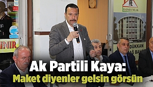 Ak Partili Kaya: Maket diyenler gelsin görsün