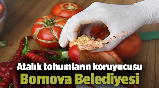 Atalık tohumların koruyucusu Bornova Belediyesi