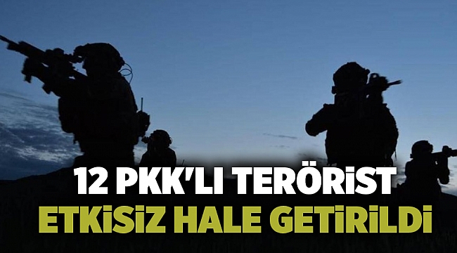 12 PKK'lı terörist etkisiz hale getirildi