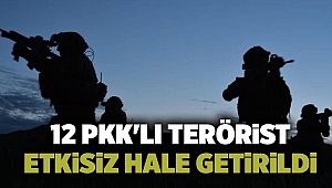 12 PKK'lı terörist etkisiz hale getirildi