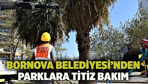 Bornova Belediyesi’nden parklara titiz bakım