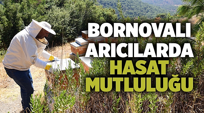 Bornovalı arıcılarda hasat mutluluğu