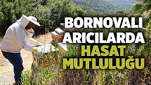 Bornovalı arıcılarda hasat mutluluğu