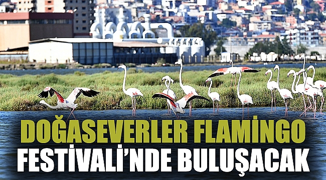 Doğaseverler Flamingo Festivali’nde buluşacak