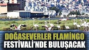 Doğaseverler Flamingo Festivali’nde buluşacak