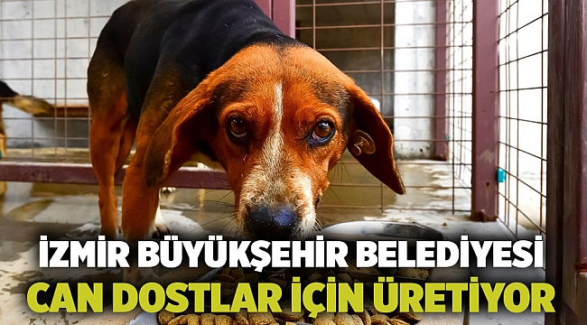 İzmir Büyükşehir Belediyesi can dostlar için üretiyor