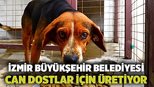 İzmir Büyükşehir Belediyesi can dostlar için üretiyor