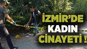 Parkta gördüğü eski eşinin üzerine kurşun yağdırdı