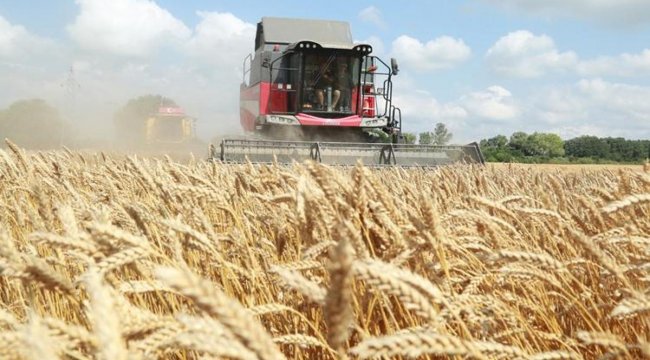 'TİGEM, hububat hasadı rekoru kırdı'