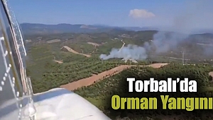 Torbalı'da orman yangını