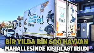 Bir yılda bin 600 hayvan mahallesinde kısırlaştırıldı