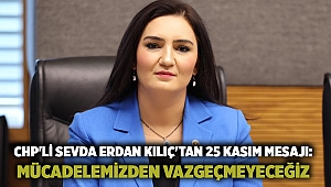 CHP'li Sevda Erdan Kılıç'tan 25 Kasım mesajı: Mücadelemizden vazgeçmeyeceğiz