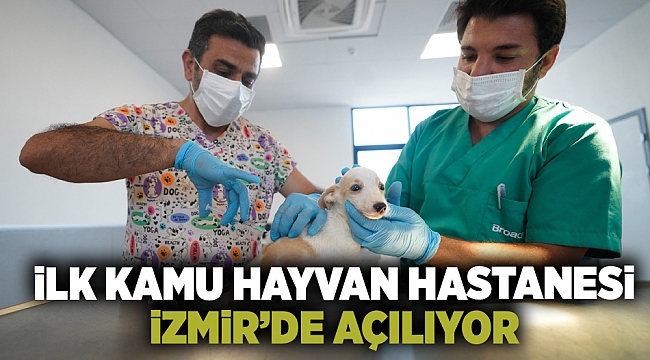 İlk kamu hayvan hastanesi İzmir'de açılıyor