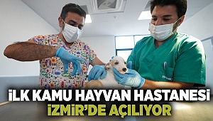 İlk kamu hayvan hastanesi İzmir'de açılıyor