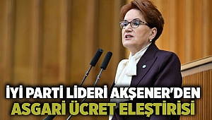 İYİ Parti lideri Akşener'den asgari ücret eleştirisi