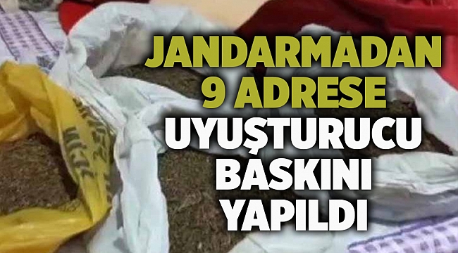 İzmir'de jandarmadan 9 adrese uyuşturucu baskını yapıldı