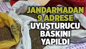 İzmir'de jandarmadan 9 adrese uyuşturucu baskını yapıldı