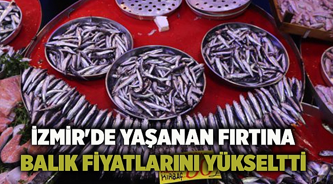 İzmir'de yaşanan fırtına balık fiyatlarını yükseltti