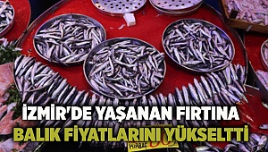 İzmir'de yaşanan fırtına balık fiyatlarını yükseltti