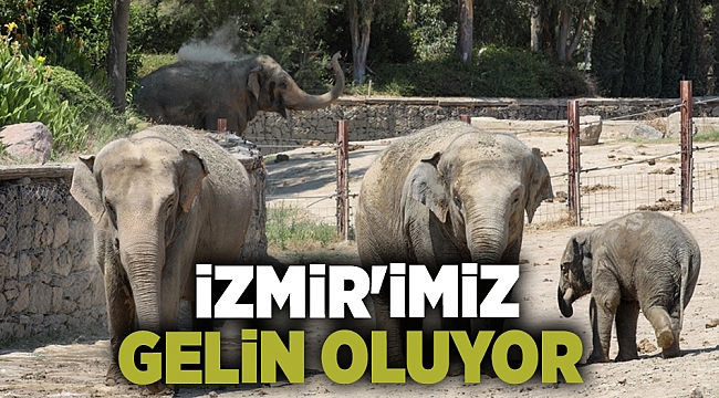 İzmir'imiz gelin oluyor!