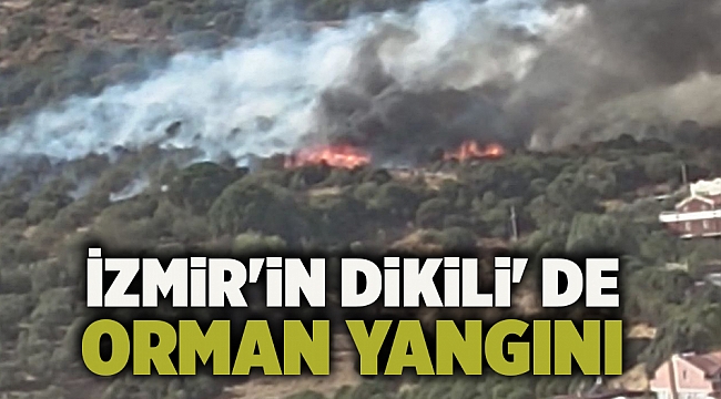 İzmir'in Dikili' de yangın