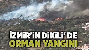 İzmir'in Dikili' de yangın