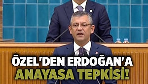 Özel'den Erdoğan'a Anayasa tepkisi!